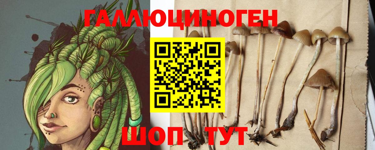 Псилоцибиновые грибы мицелий Елизово