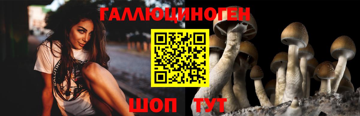 Елизово  Псилоцибиновые грибы MAGIC MUSHROOMS  Вход с VPN 